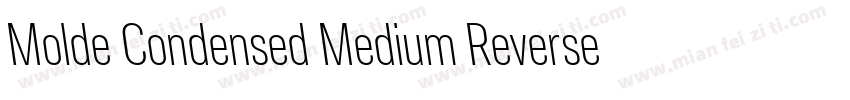 Molde Condensed Medium Reverse字体转换